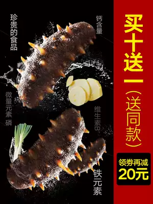 Sea cucumber ready-to-eat fresh live Dalian wild Liao ginseng thorn ginseng gift box Sea cucumber 500g bulk non-dry goods three single packs