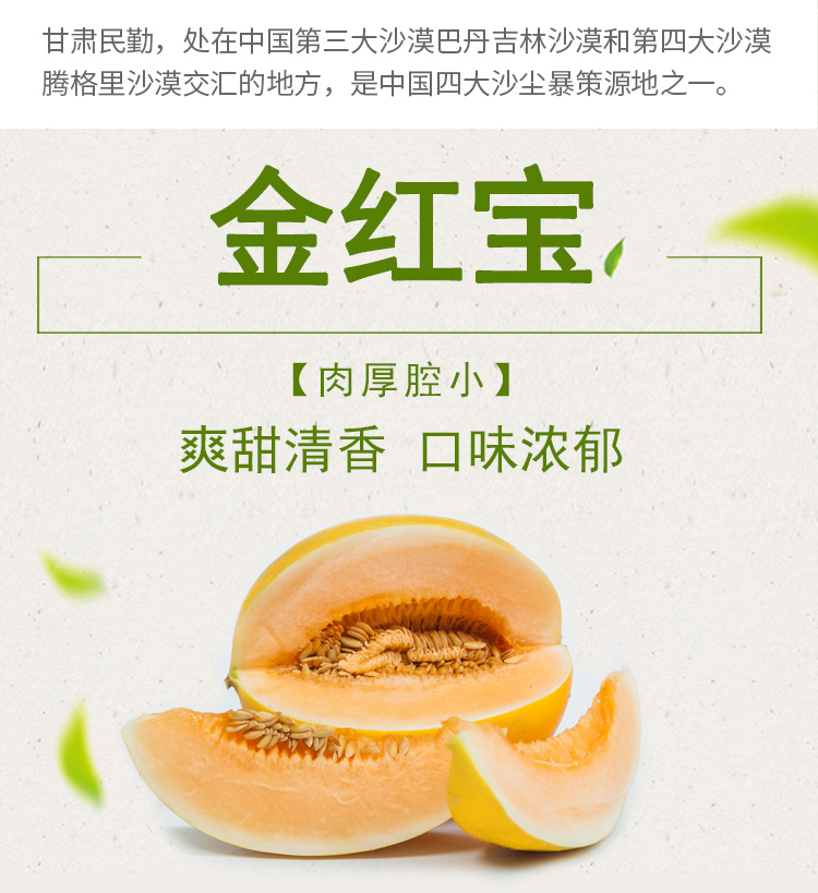 伊千寻 当季甘肃民勤黄金蜜瓜 3颗净重8.7-9斤 图3