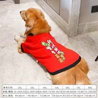 Большая собака красная рельеф и богатство (круглая шея)