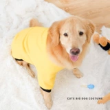 Золотая ретривера собачья одежда Новый год осень и зимние латино -зимние праздничные фестивали на самуи с средними собаками Новый год