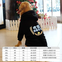 Черные активисты