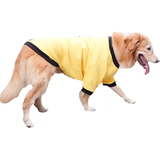 Золотая ретривера собачья одежда Новый год осень и зимние латино -зимние праздничные фестивали на самуи с средними собаками Новый год