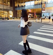 Rubbit chic 21 autumn and winter new products into the store bi into the simple wind super high waist big long leg skirt skirt skirt women