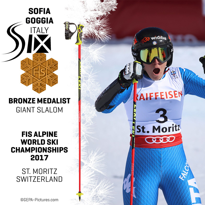 LEKI Adult youth professional competitive double board carbon fiber aluminum slalom small slalom ski stick Snowball pole