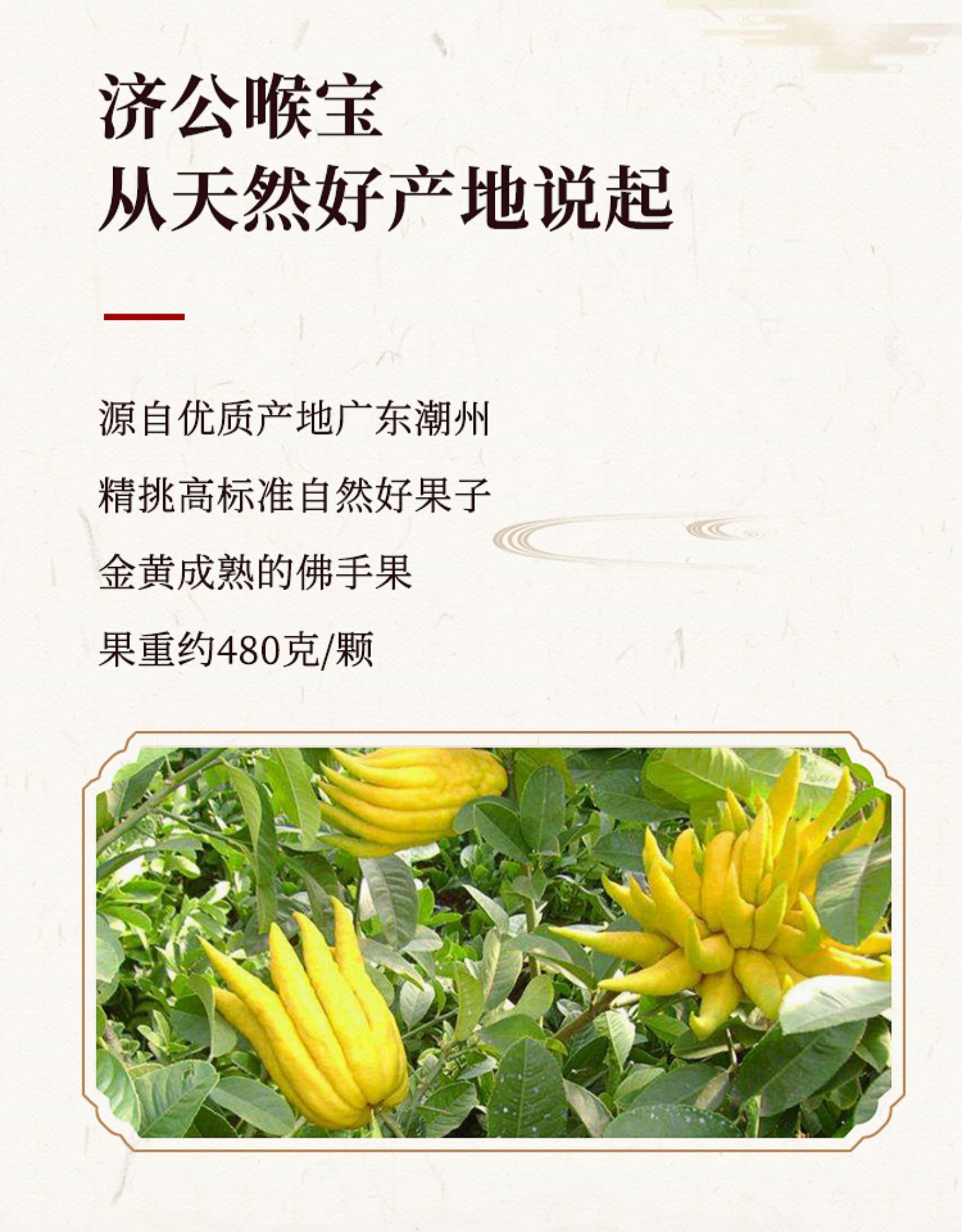广东老字号 济公喉宝 佛手果果干 140g 图5