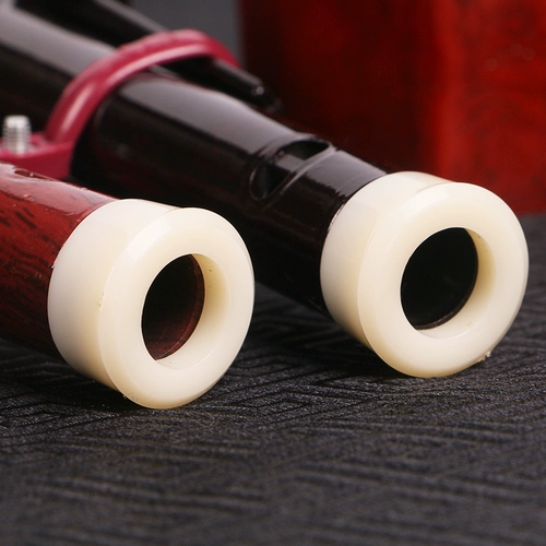 竹霖生 Музыкальные инструменты для начинающих, профессиональные учебные пособия для взрослых, защита при падении