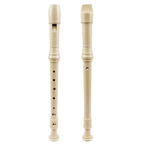 DHS Flute vertical 6 Holes 8 Holes Alt Style G Octapore Elementary School Students C Tune Children Beginner instruments Six trous F Flute