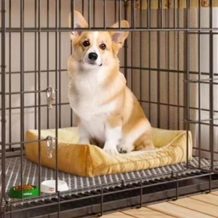 看家宠物用品店