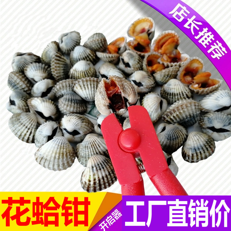 Huaha clip blood clam opener clam opener blood clam artifact open clam pliers flower clam clamp clam opener clam opener blood clam pliers