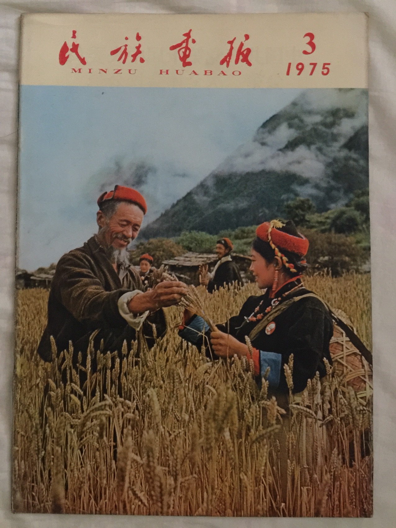 National Illustrator at 1975-3 (Four People's Congress)