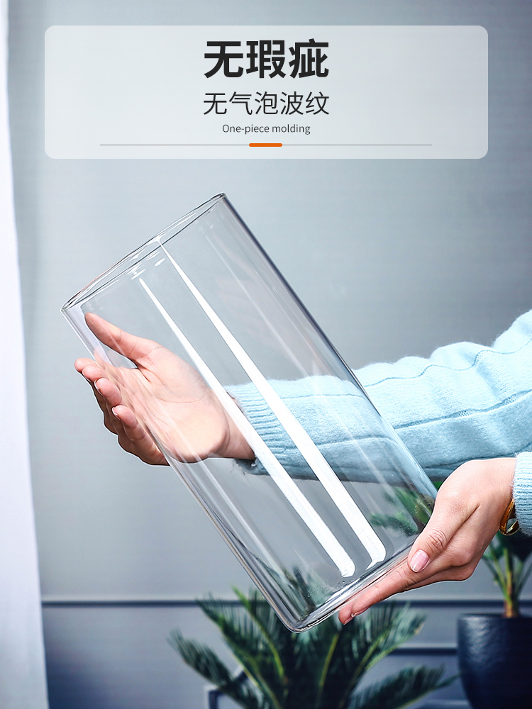 <!--玻璃花瓶透明插花水养马醉木水培富贵竹直筒客厅摆件ins风高级感-->