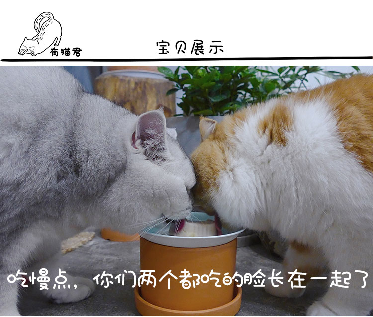 Có mèo, mèo nhỏ, mèo, bánh sữa, lon mềm, mèo nghịch ngợm, bibimbap gạo, hộp cơm trưa cho mèo, mèo, thức ăn ướt, đồ ăn nhẹ, 40g - Đồ ăn nhẹ cho mèo Review các loại hạt cho mèo