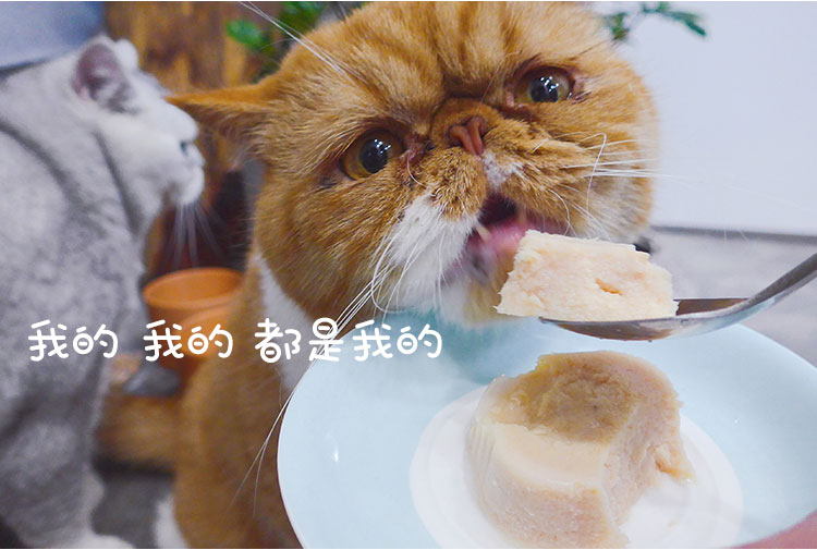 Có mèo, mèo nhỏ, mèo, bánh sữa, lon mềm, mèo nghịch ngợm, bibimbap gạo, hộp cơm trưa cho mèo, mèo, thức ăn ướt, đồ ăn nhẹ, 40g - Đồ ăn nhẹ cho mèo Review các loại hạt cho mèo