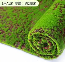 Lawn Moss simulation bryophyte wall hanging flower room scene scenic spot Vegetation wall with flower room flower scene