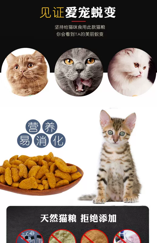 Bạn Ruipai thức ăn cho mèo 500g * 5 kg / 2,5kg cá biển hương vị thức ăn tự nhiên ngắn đẹp của Anh thành thức ăn cho mèo con cho mèo đi lạc - Cat Staples