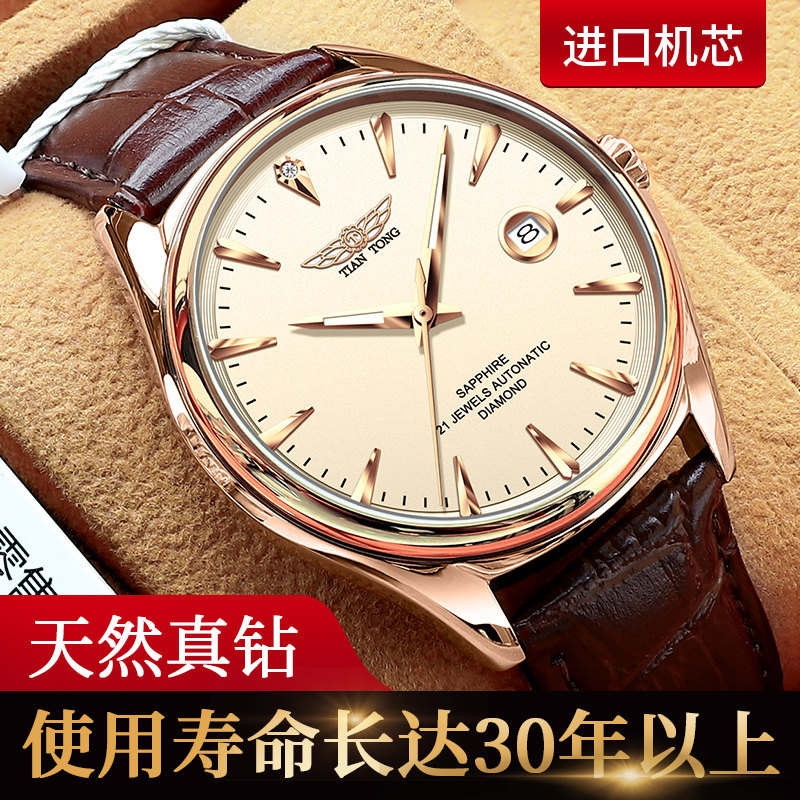 (Official Flagship) labour earth Swiss diamond import watches for men's mechanical watch nameplate waterproof business watches