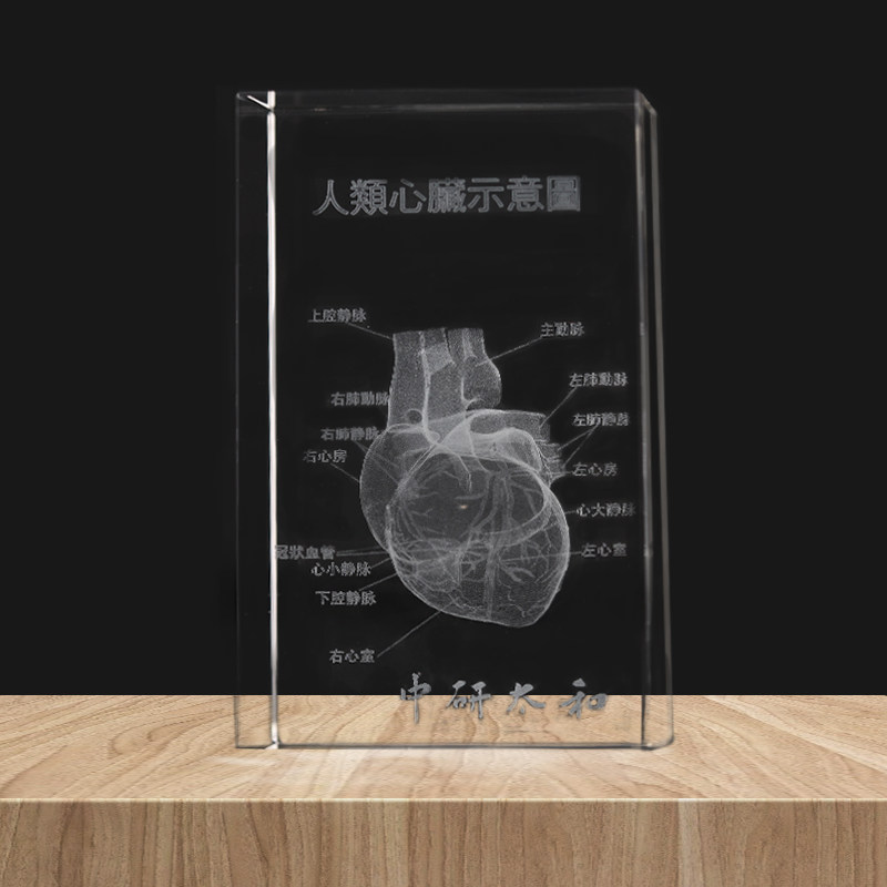 人体心脏耳朵骨骼水晶摆件 3D器官解刨图展示标本医学纪念品礼物