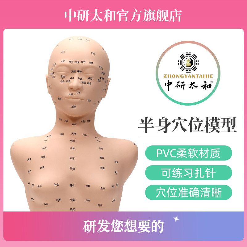 中研太和人体穴位模型 软胶半身针灸教学模型 医疗教学用穴位模型