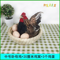 Бутик курица