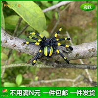 Желтый цветок маленький паук (3,5*5 см)