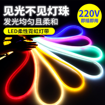 Led flexible neon light strip 220V PVC waterproof soft light pipeline light KTV outdoor decoration high lighting project