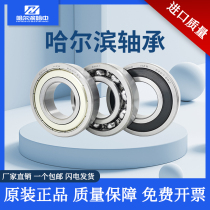 Harbin Bearing Daw 6200 6202 6203 6203 6205 6206 6207Z RS 2Z