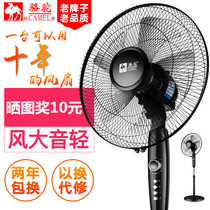 Blow fan electric fan floor fan five-leaf electric fan standing strong wind seat for sitting fan Home vertical electric flying phoenix