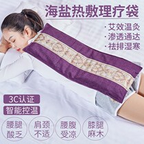 Coarse Salt Electric Heating Hot Compress Bag Salt Bag Sea Salt Home Aweed Moxibustion Shoulder Neck Electric Heating Physiotherapy Bag Waist Whole Body