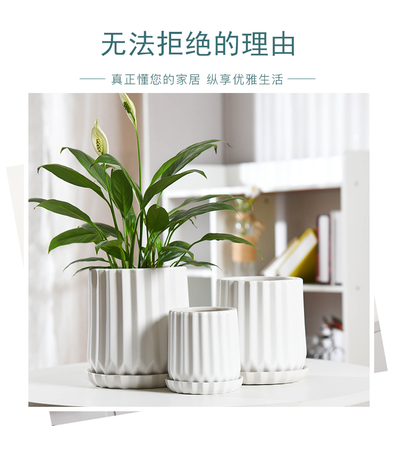 Flowerpot ceramic contracted white Nordic style of creative move pallet money plant green plant the plants mostly meat Flowerpot