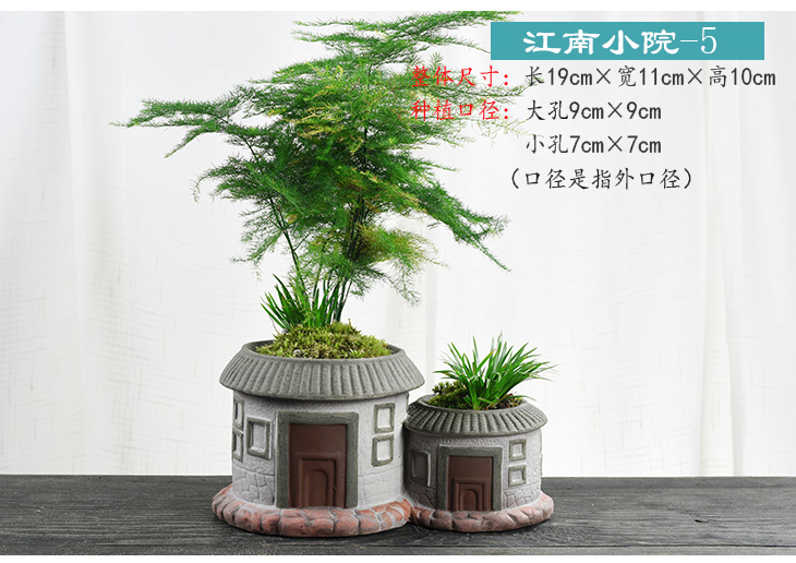 Small house flowerpot ceramic creative move courtyard asparagus rich tree China money plant contracted wind flower pot the plants