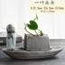 Sáng tạo nước thủy canh bình thủy đơn giản trồng cây hoa chậu nước chậu hoa phòng khách trang trí nhỏ - Vase / Bồn hoa & Kệ bình cắm hoa hồng Vase / Bồn hoa & Kệ