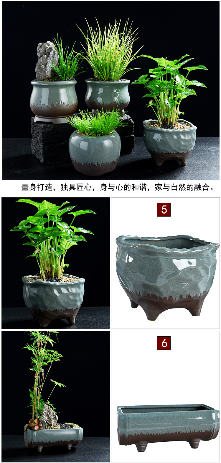 Purple sand flowerpot ceramic Chinese wind restoring ancient ways money plant air pot clay most creative flower pot meat meat meat the plants