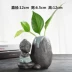 Sáng tạo nước thủy canh bình hoa container hoa cây chậu nước chậu hoa chậu phòng khách trang trí nhỏ - Vase / Bồn hoa & Kệ chậu sứ mini Vase / Bồn hoa & Kệ