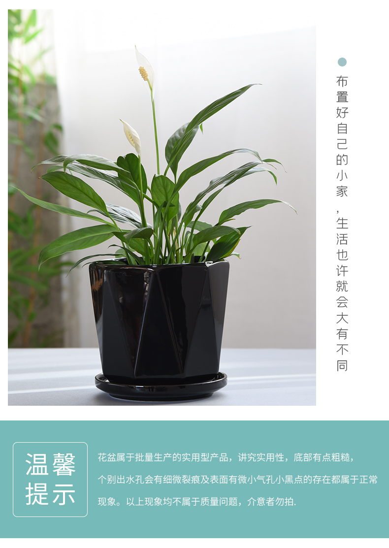 Nordic contracted creative flowerpot ceramics with tray to heavy large move money plant bracketplant small white fleshy flower pot
