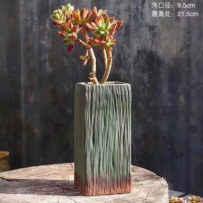 Old running the pot clay ceramic retro zhuang zi mage, coarse pottery creative move meat meat large fleshy flower pot the plants