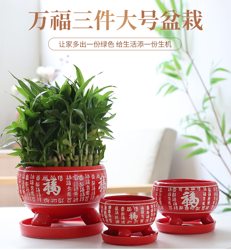 Red ave flowerpot ceramic indoor large clearance with tray bracketplant creative flower pot in contracted more than other meat