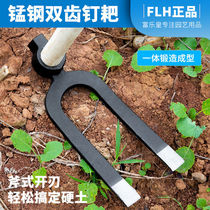 Two-tooth nail harrow thickened large iron rake to catch sea gardening agricultural with pine soil hoe to rake the two teeth long handle