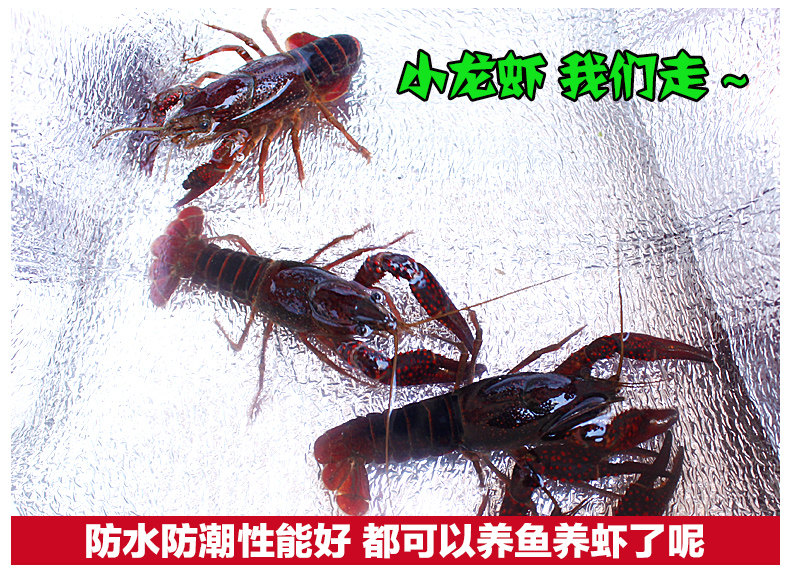 Nhôm phim mat mat dã ngoại vải ngoài trời xách tay dày nhà dã ngoại thảm cắm trại mat thảm cỏ - Thảm chống ẩm / Mat / Gối xốp lót nền nhà
