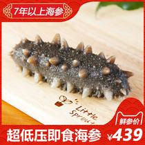 Haikuan instant sea cucumber ultra-low pressure fresh sea cucumber 500g Weihai organic instant sea cucumber non-dry sea cucumber gift box
