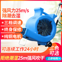 Jaber BF535 Ground Blow-drying Machine Floor Carpet Hair Dryer Home Mall Hotel Guesthouse Blower