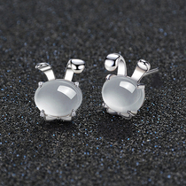 925 sterling silver rabbit stud earrings necklace bracelet set female simple 2019 new trendy jewelry 3-piece birthday gift