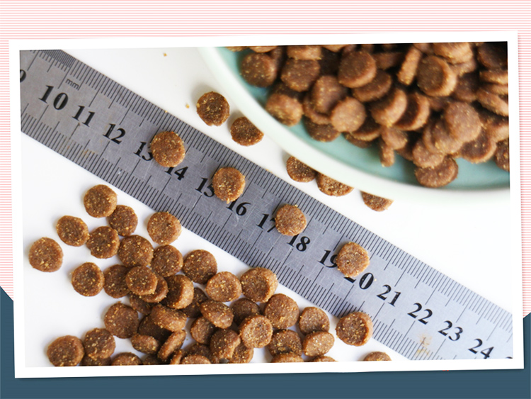 Mèo đất Vật nuôi Cao Vàng Vàng Toàn bộ Thung lũng Mèo Thức ăn chính 500g1 kg Lá nhôm - Cat Staples thức ăn cho mèo gần đây