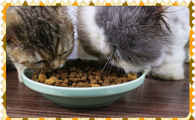 Earth Cat Pet NV Ranba Bản năng Mèo Thức ăn Hạt tươi Thịt gà đông lạnh miễn phí 10 lbs 4,5Kg - Cat Staples minino 1.3 kg