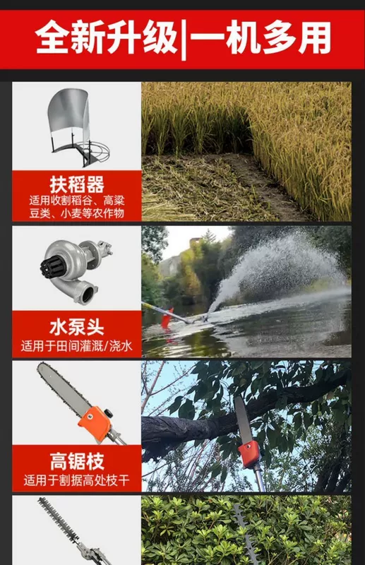 Máy cắt cỏ chạy điện 48V có thể sạc lại đa chức năng thu hoạch nông nghiệp và cải tạo đất hộ gia đình nhỏ làm cỏ và làm cỏ máy cắt cỏ 4 thì