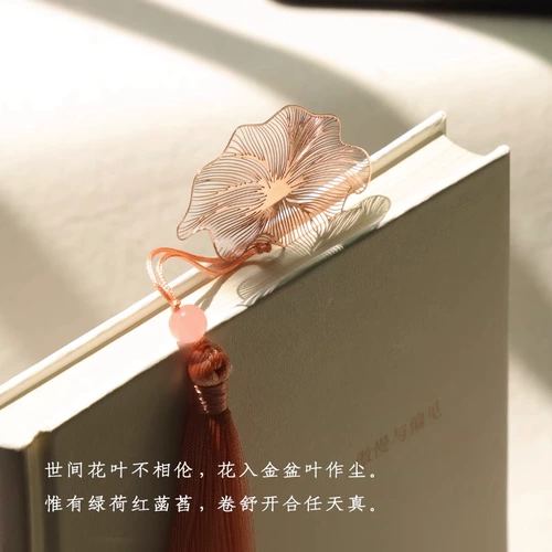 Подарок на День учителя Практическая отправка учителей женщин с высоким выпускным выпускным выпускным