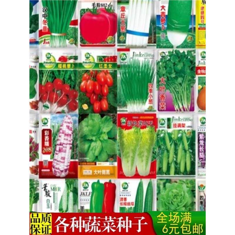 Planting vegetables, seeds, heart vegetables, lettuce, scal Planting vegetables, seeds, heart vegetables, lettuce, scal