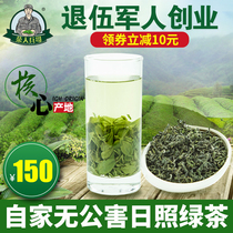 Rizhao Green Tea 2021 new tea bulk gift box Spring tea Fragrant premium Shandong Alpine cloud green tea 500g