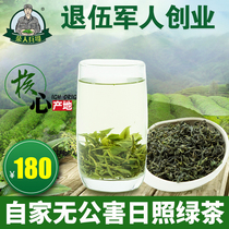 Shandong Rizhao Green Tea 2021 new tea spring tea bulk premium fragrant fried green alpine cloud green tea 500g