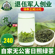 Rizhao Green Tea 2021 new tea premium bulk gift box Shandong cloud fog fragrant spring tea green tea 500g