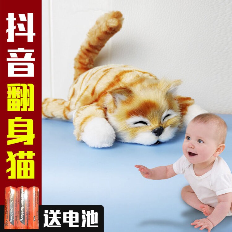 The cat that will roll over the cat toy will turn over the god instrumental baby shake the same net red electric baby learn